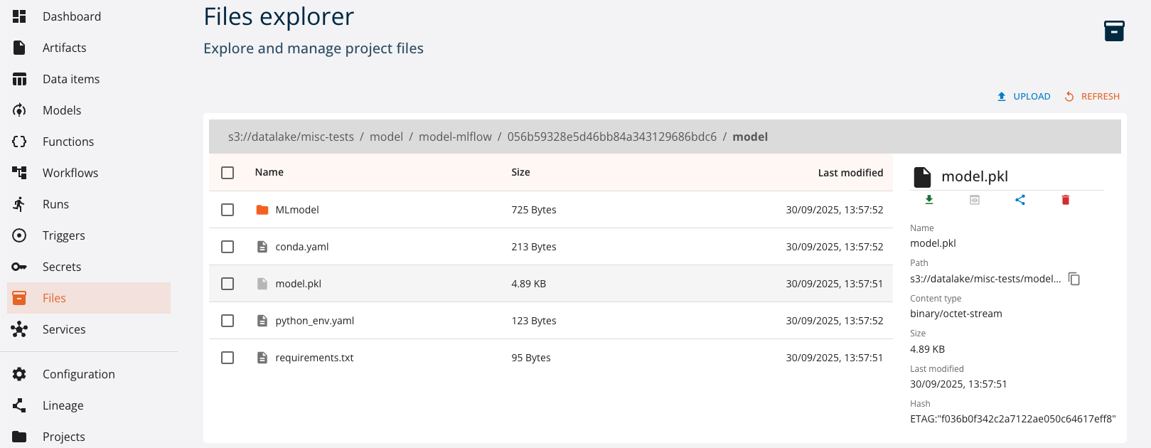 File details view