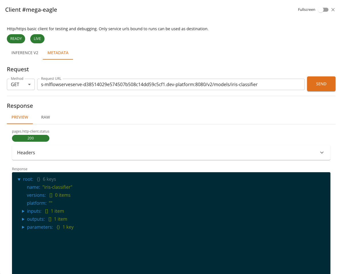 Metadata tab placeholder